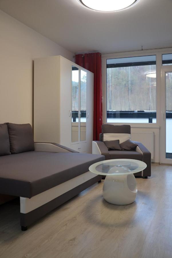 Utulny Apartman V Centru, S Krasnym Vyhledem Decin Luaran gambar