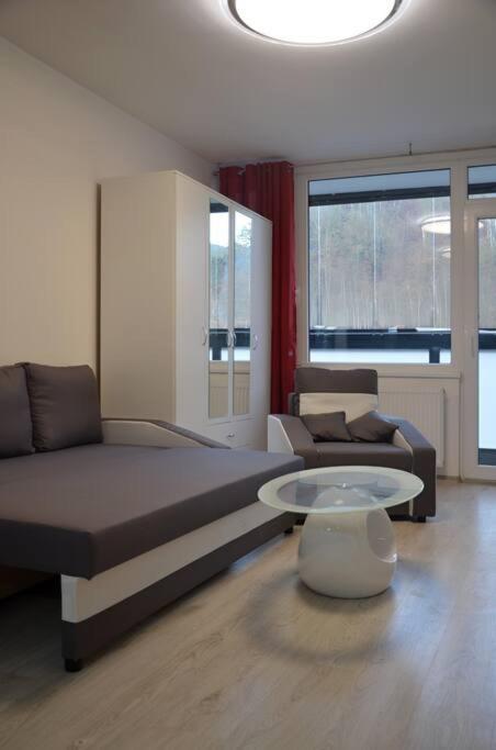 Utulny Apartman V Centru, S Krasnym Vyhledem Decin Luaran gambar